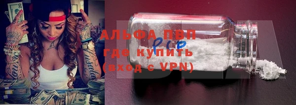 a pvp Новозыбков