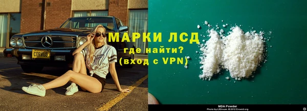 a pvp Новозыбков
