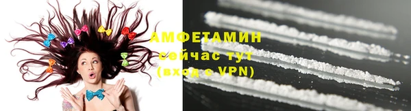 a pvp Новозыбков