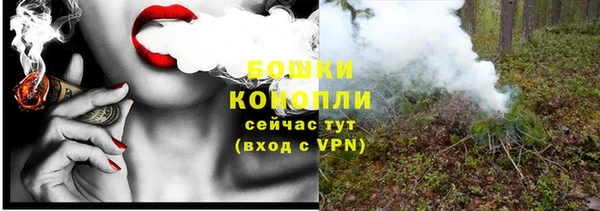 a pvp Новозыбков