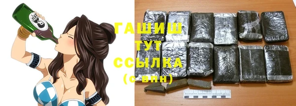 a pvp Новозыбков