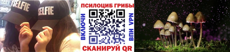 Галлюциногенные грибы мухоморы  Купить закладки  Алексин 